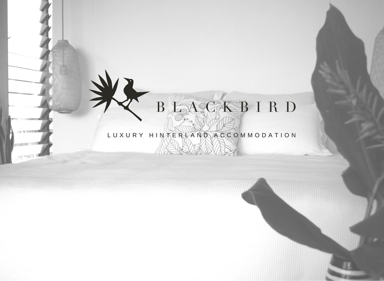 Blackbird Luxury Accommodation Culburra Exterior foto